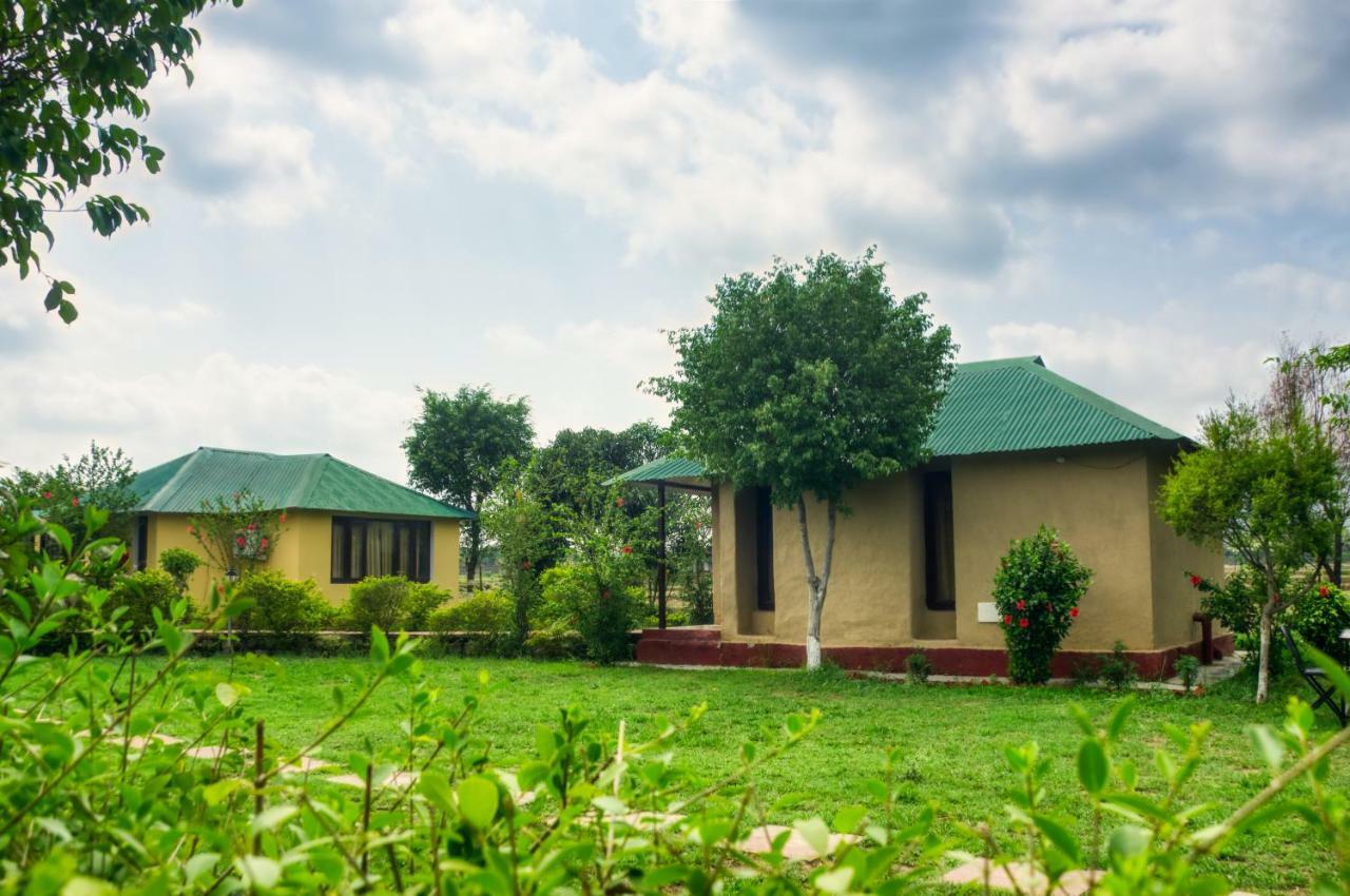 Tusk And Roar Corbett Resort Dhela Exterior photo